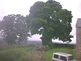 Webcam photo for 08 hrs today