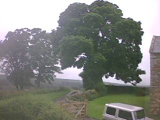 Webcam photo for 09 hrs today