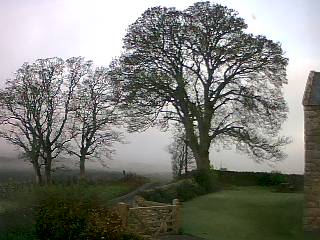 Webcam photo for 08 hrs today