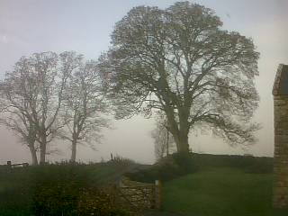 Webcam photo for 09 hrs today