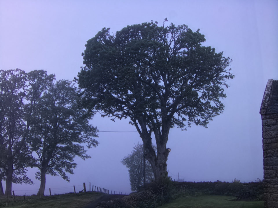 Webcam photo for 05 hrs today