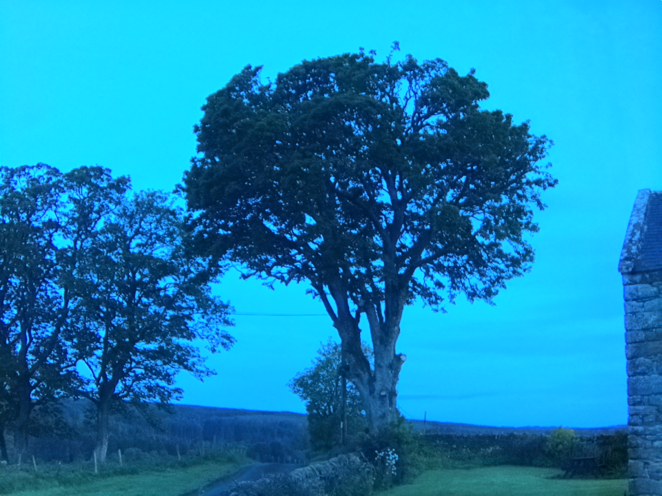 Webcam photo for 04 hrs today