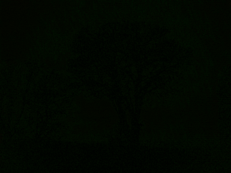 Webcam photo for 00 hrs today