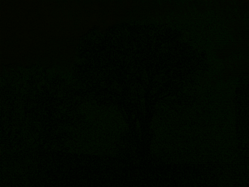 Webcam photo for 03 hrs today