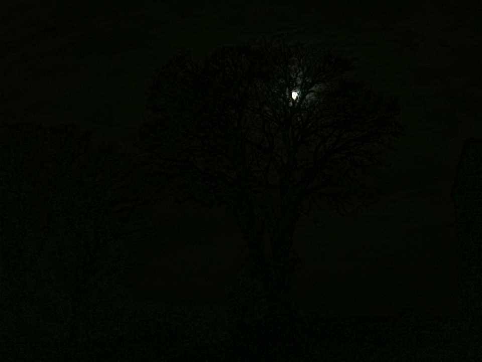 Webcam photo for 06 hrs today