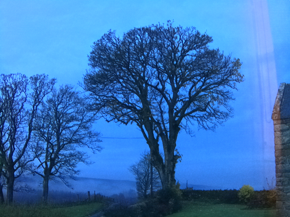 Webcam photo for 07 hrs today