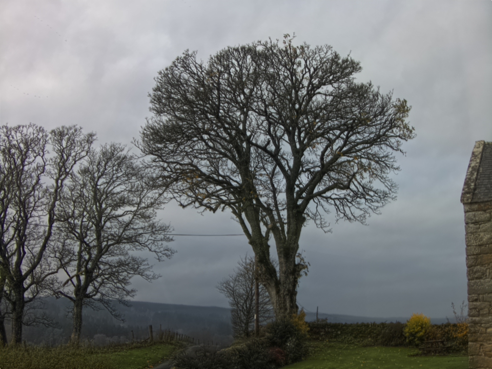 Webcam photo for 12 hrs today