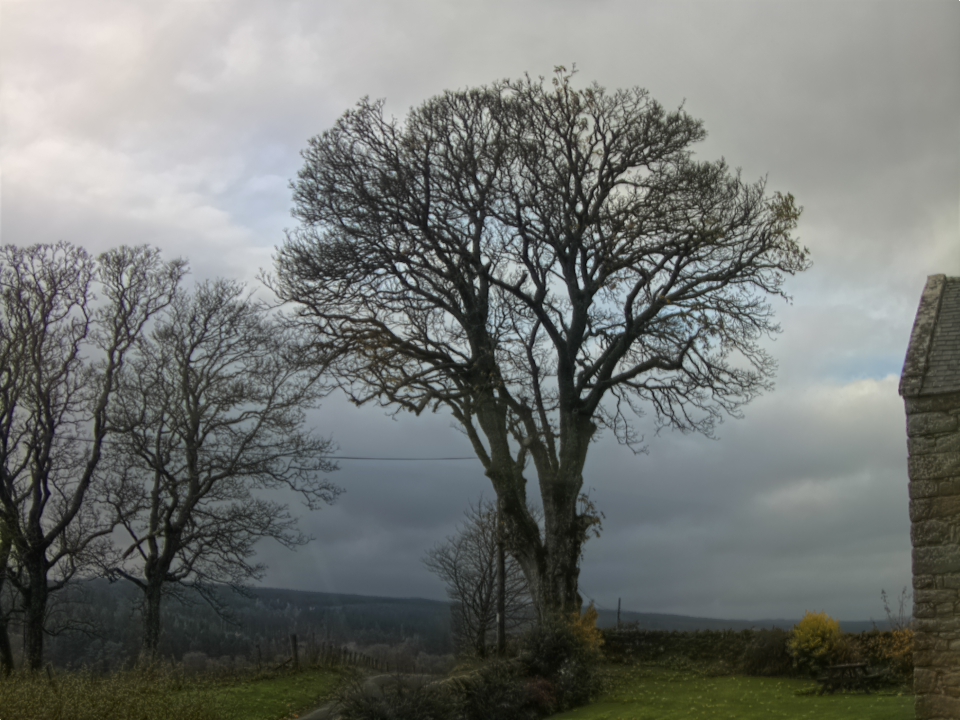 Webcam photo for 13 hrs today