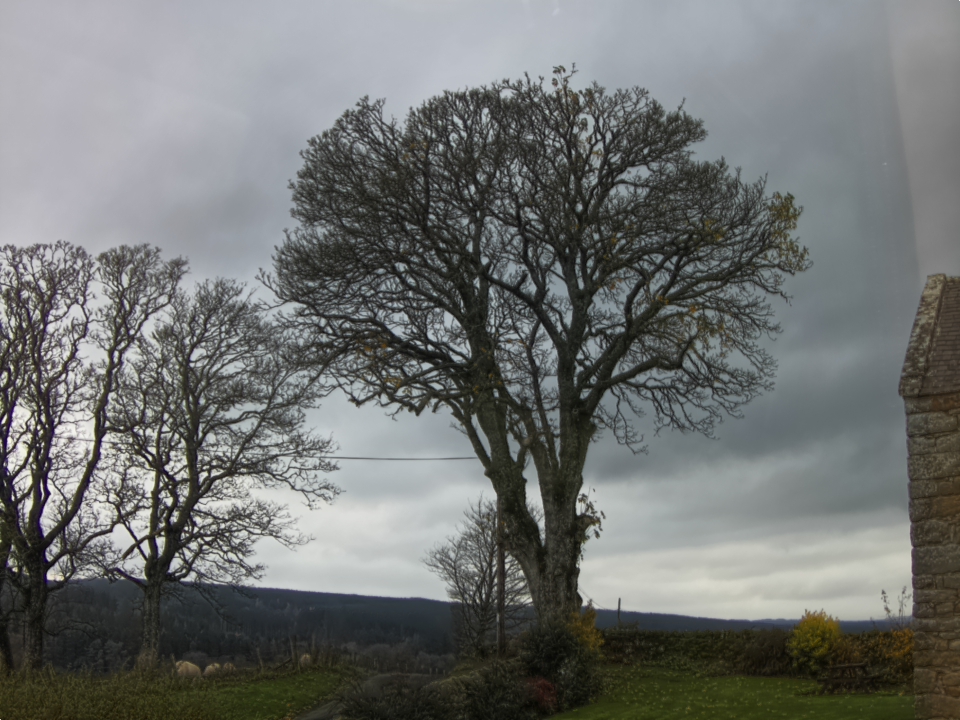 Webcam photo for 15 hrs today