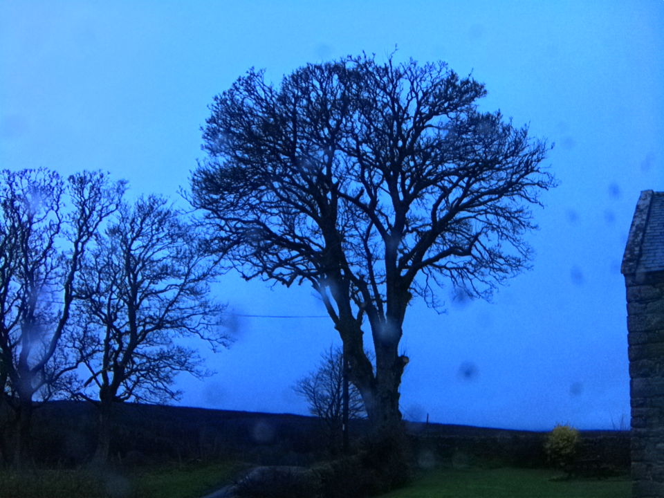 Webcam photo for 08 hrs today