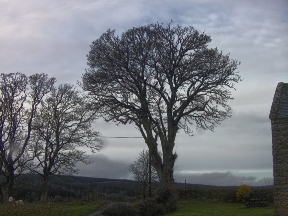 Webcam photo for 11 hrs today