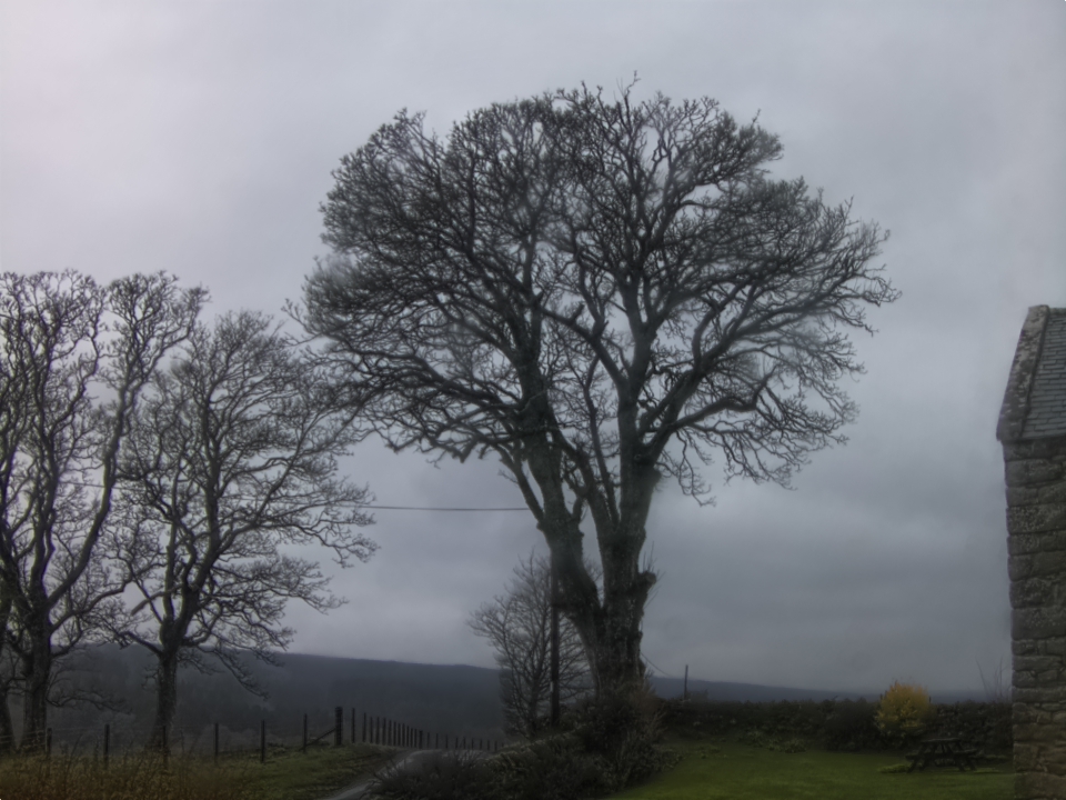 Webcam photo for 14 hrs today