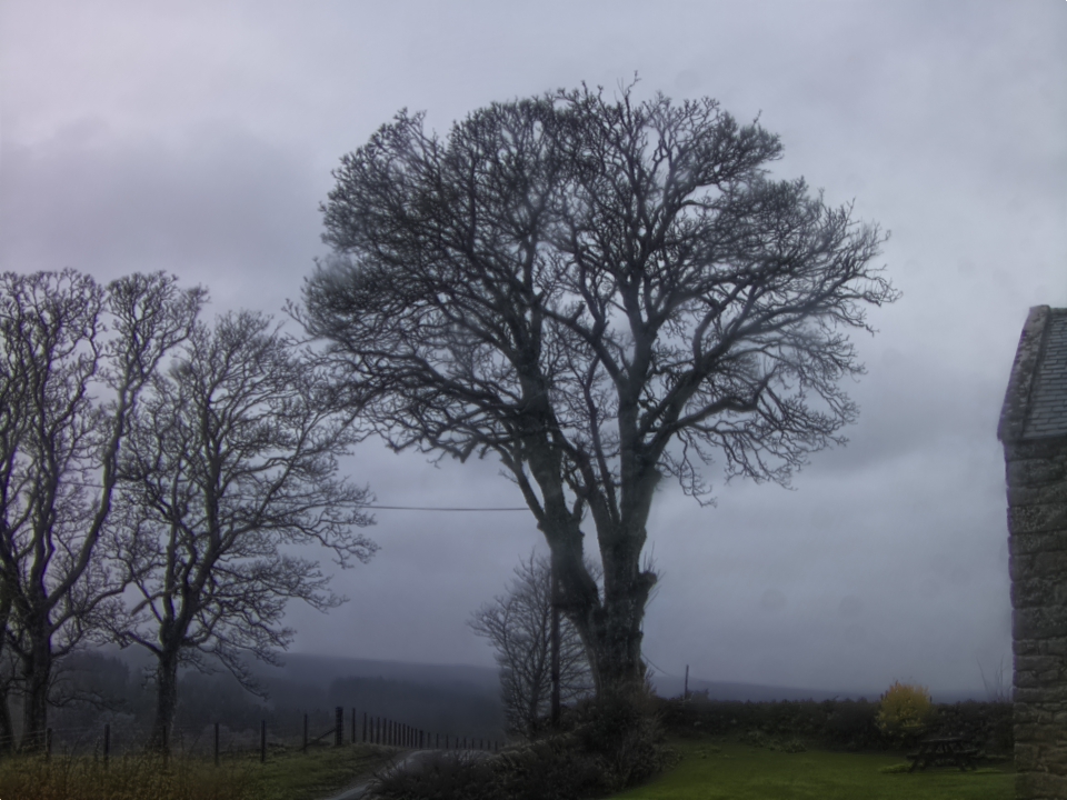 Webcam photo for 16 hrs today