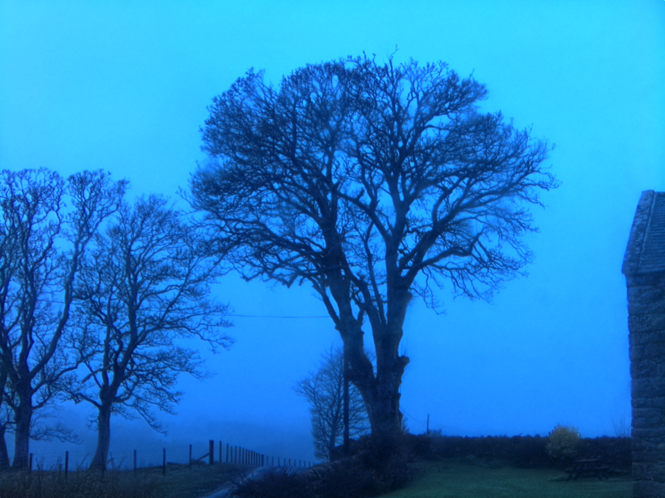 Webcam photo for 17 hrs today