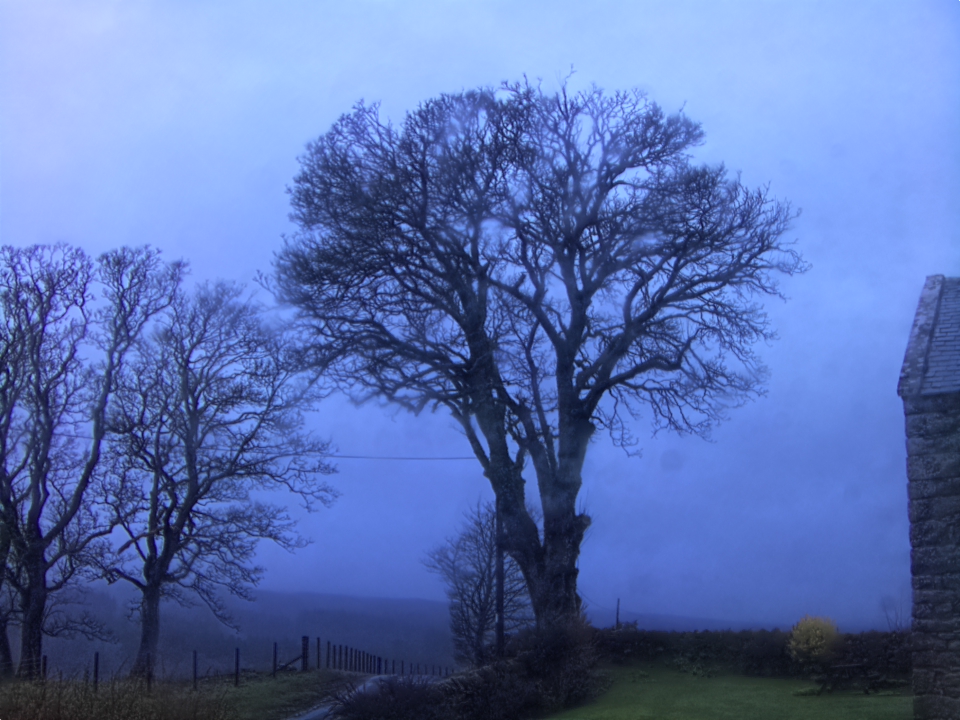 Webcam photo for 08 hrs today