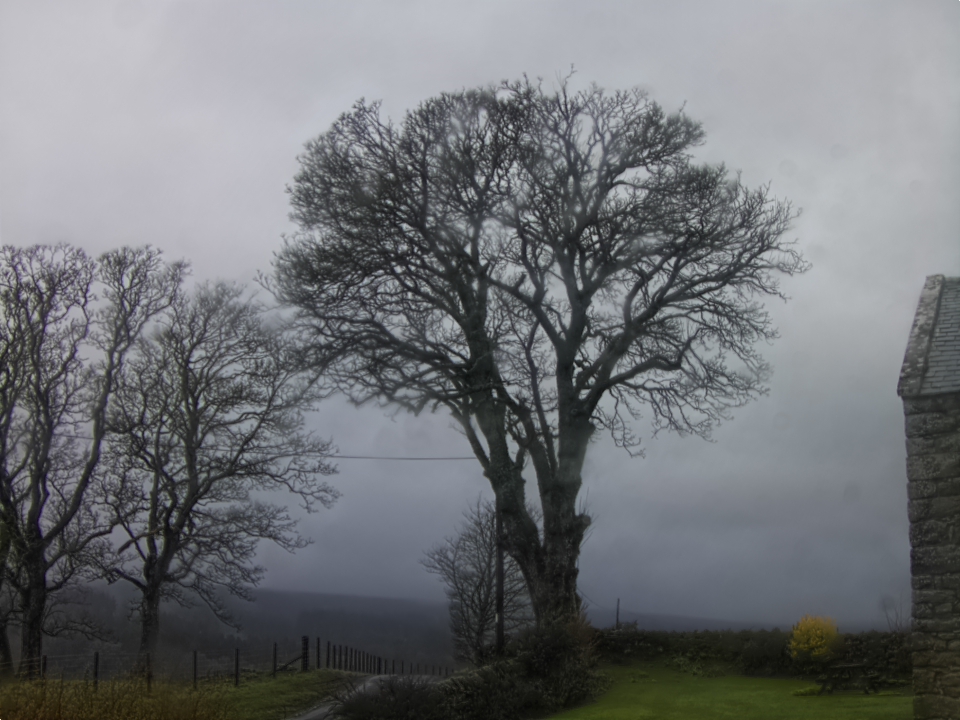 Webcam photo for 09 hrs today