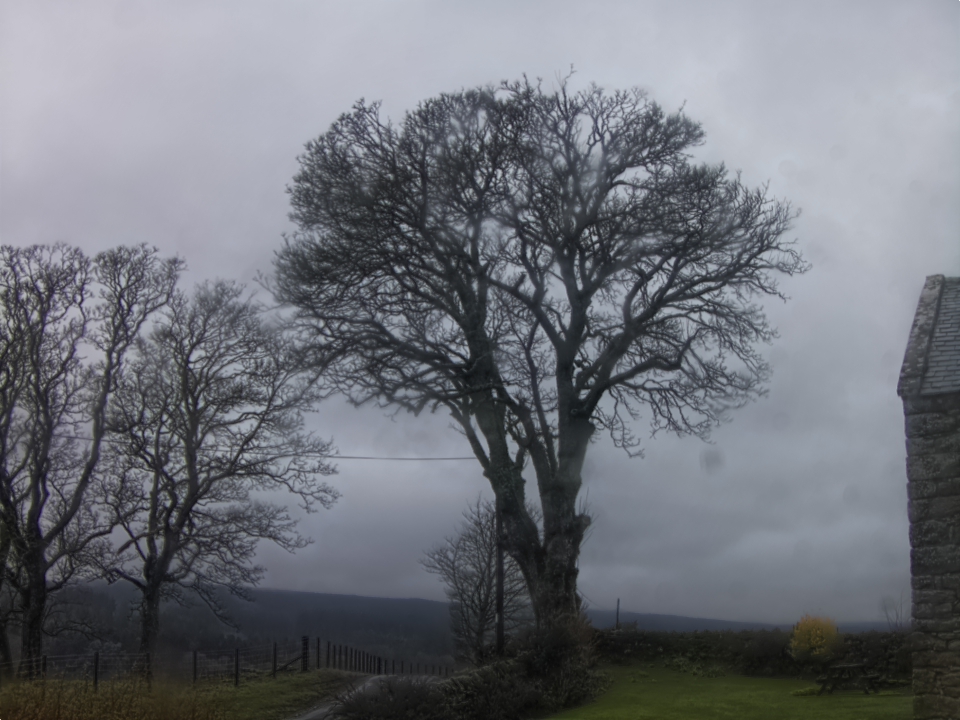 Webcam photo for 14 hrs today