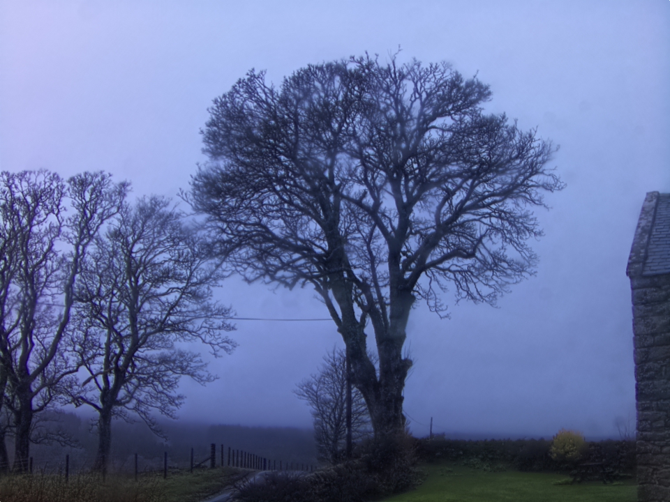 Webcam photo for 08 hrs today