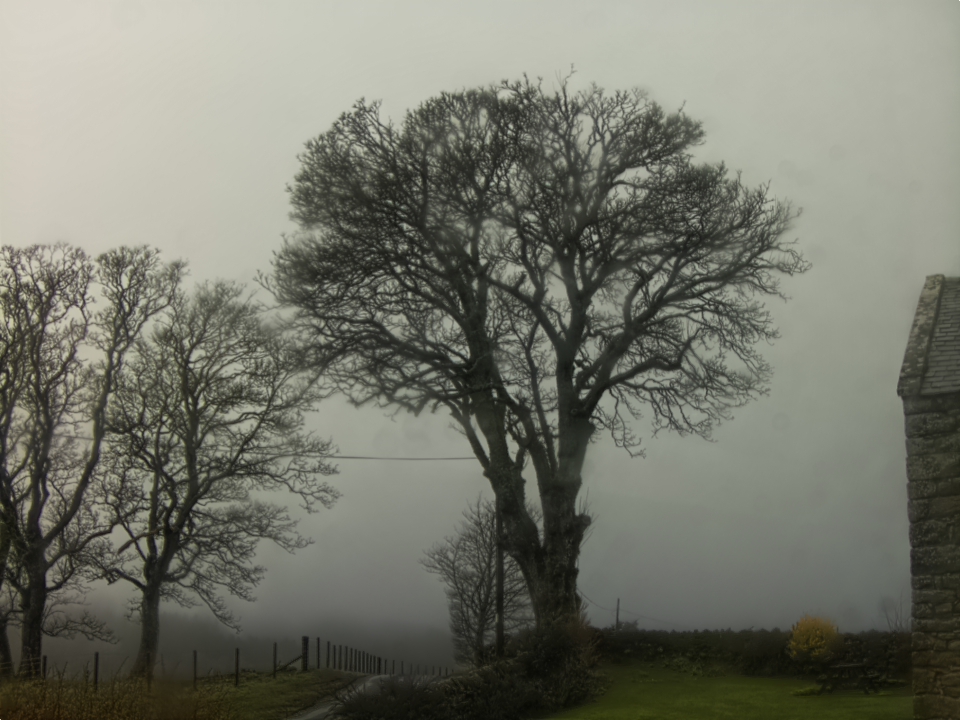 Webcam photo for 09 hrs today