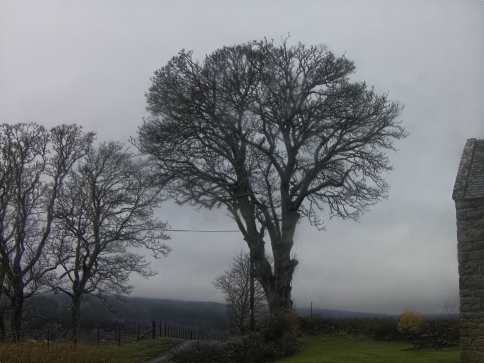 Webcam photo for 11 hrs today