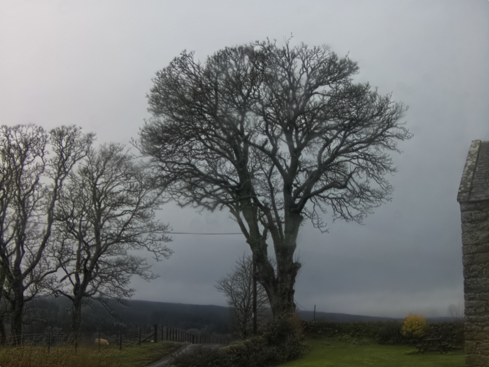 Webcam photo for 12 hrs today