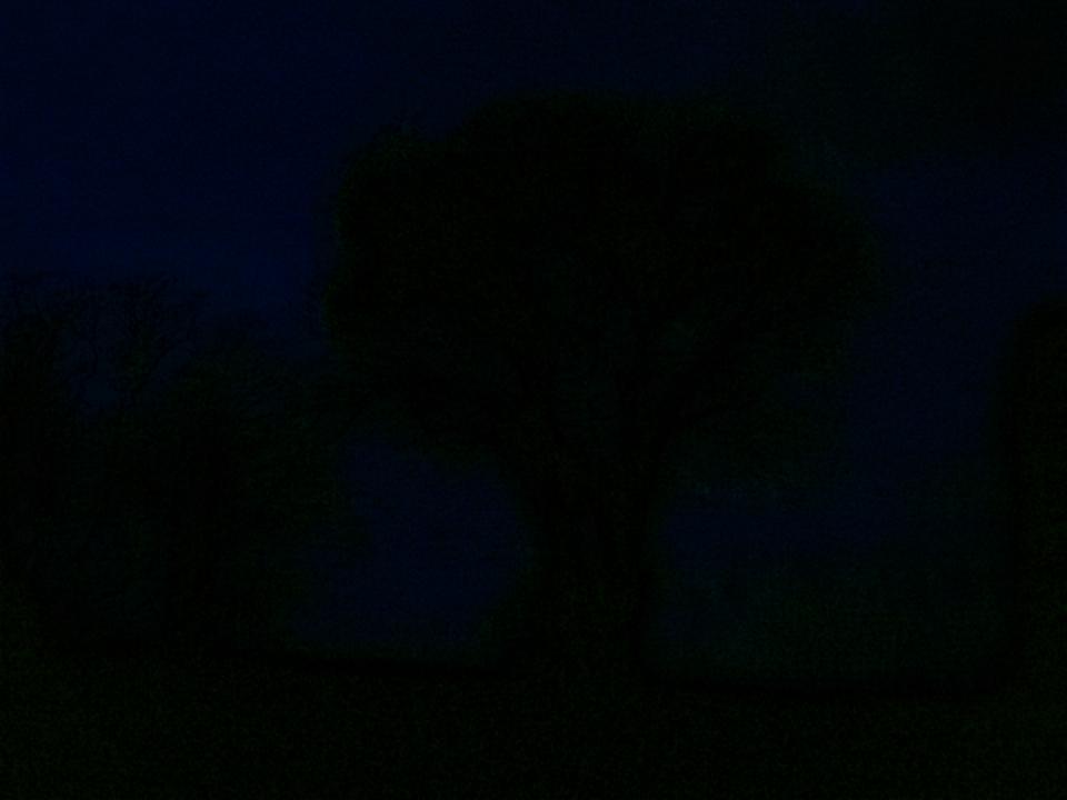 Webcam photo for 07 hrs today