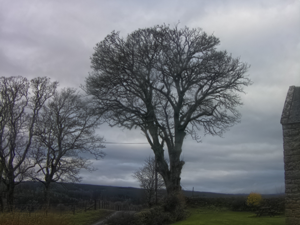 Webcam photo for 10 hrs today