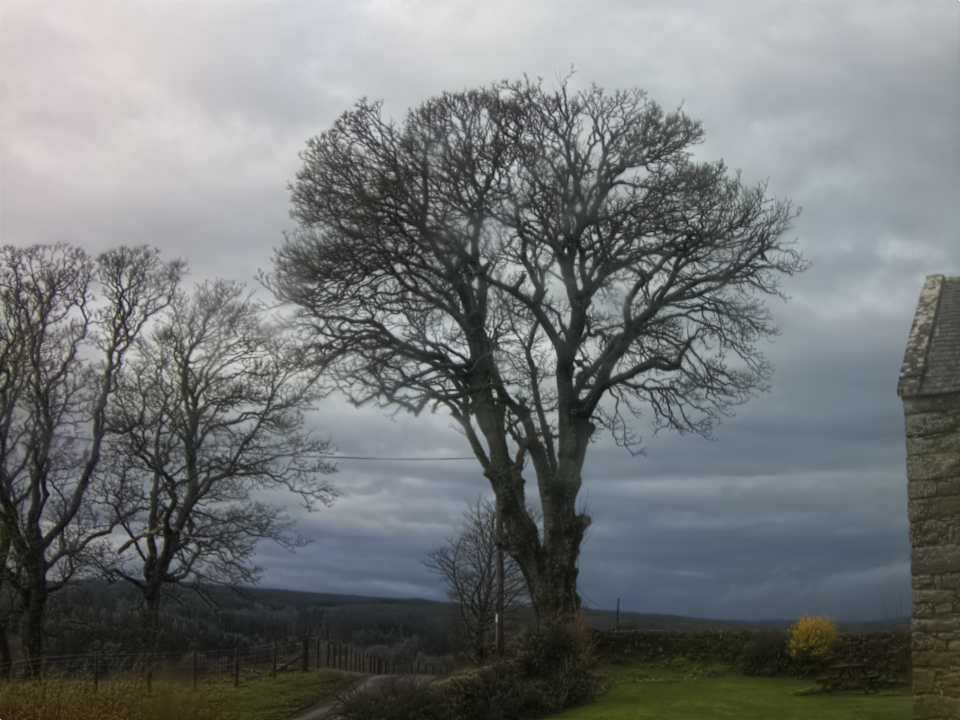 Webcam photo for 12 hrs today