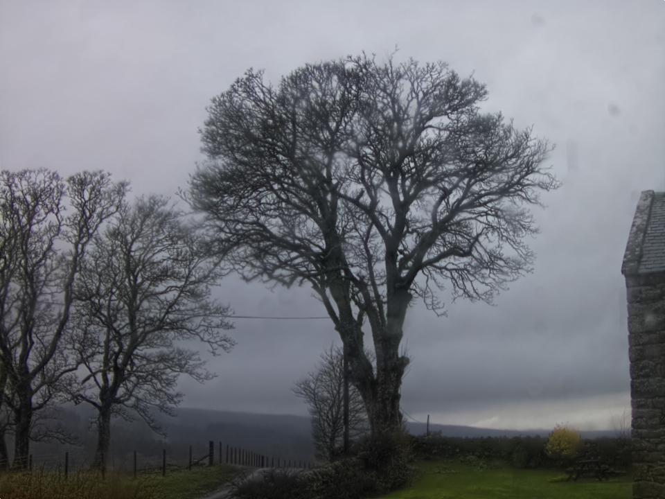 Webcam photo for 16 hrs today