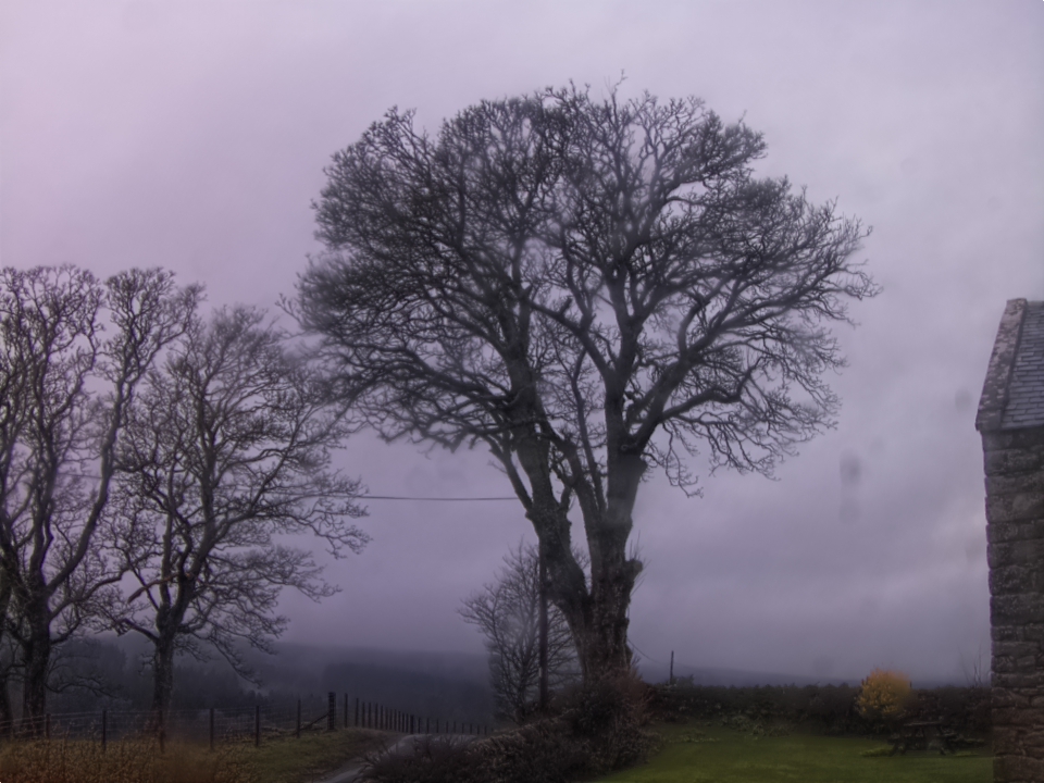 Webcam photo for 17 hrs today