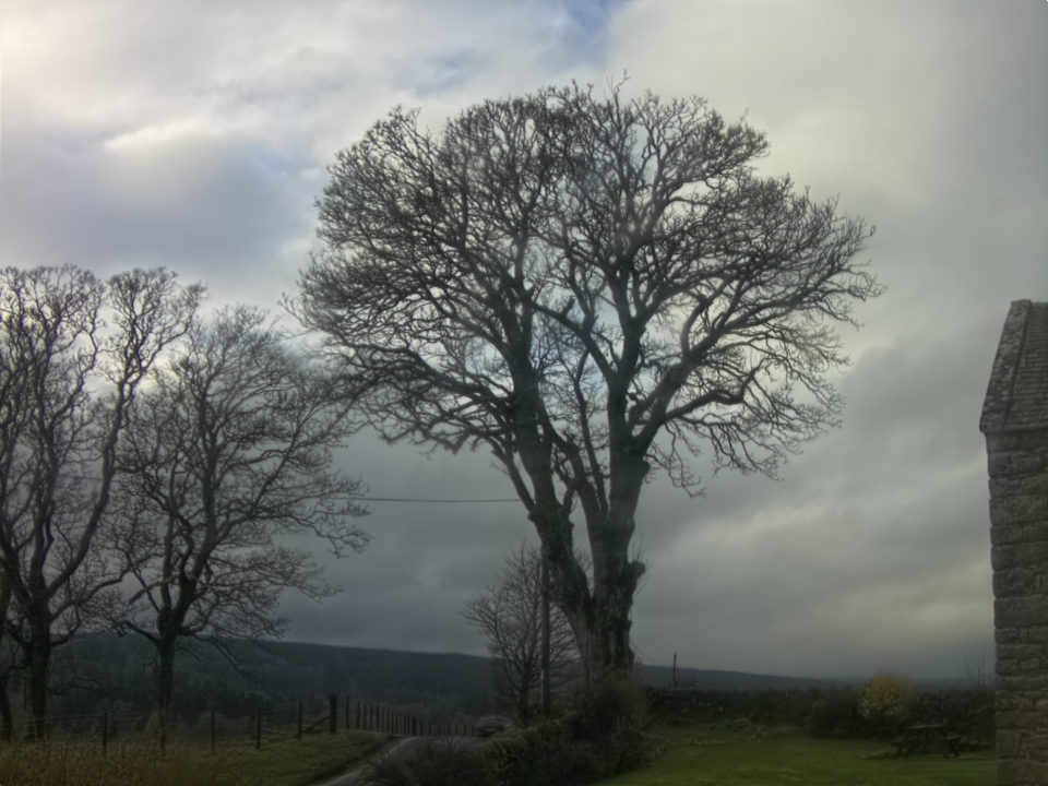 Webcam photo for 14 hrs today