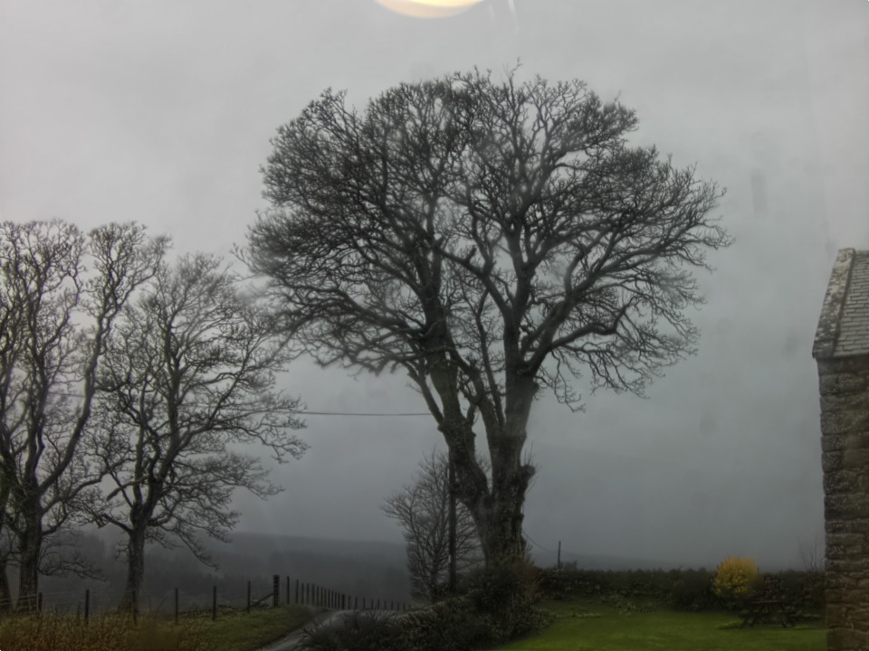 Webcam photo for 10 hrs today