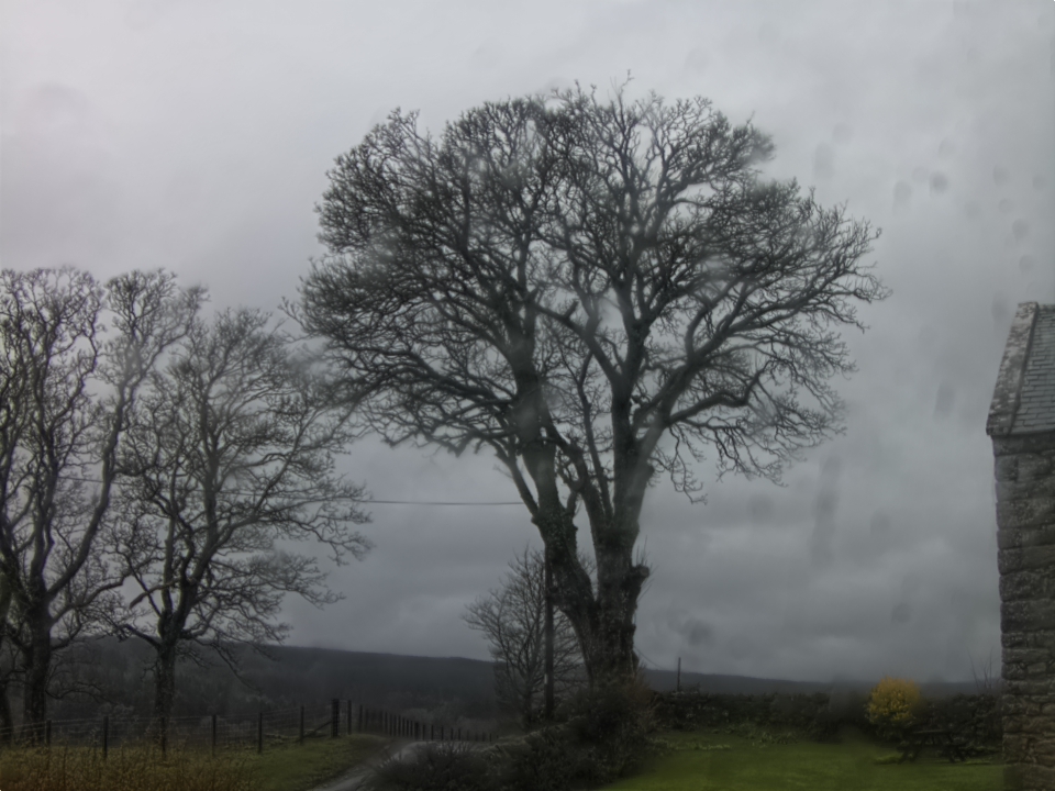 Webcam photo for 10 hrs today