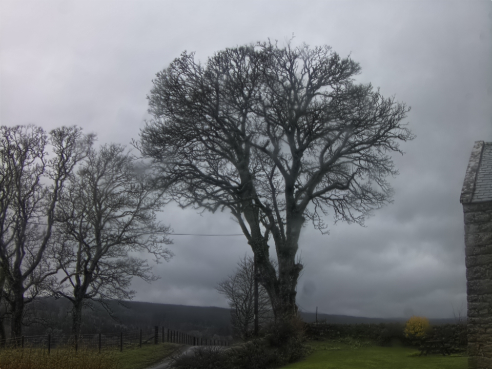 Webcam photo for 11 hrs today