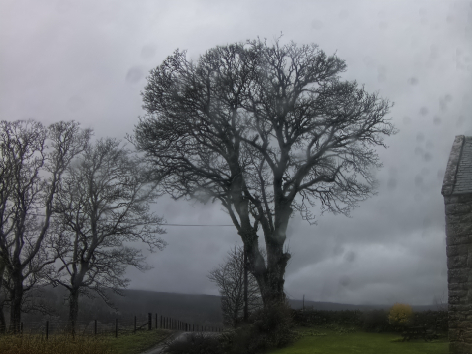 Webcam photo for 14 hrs today