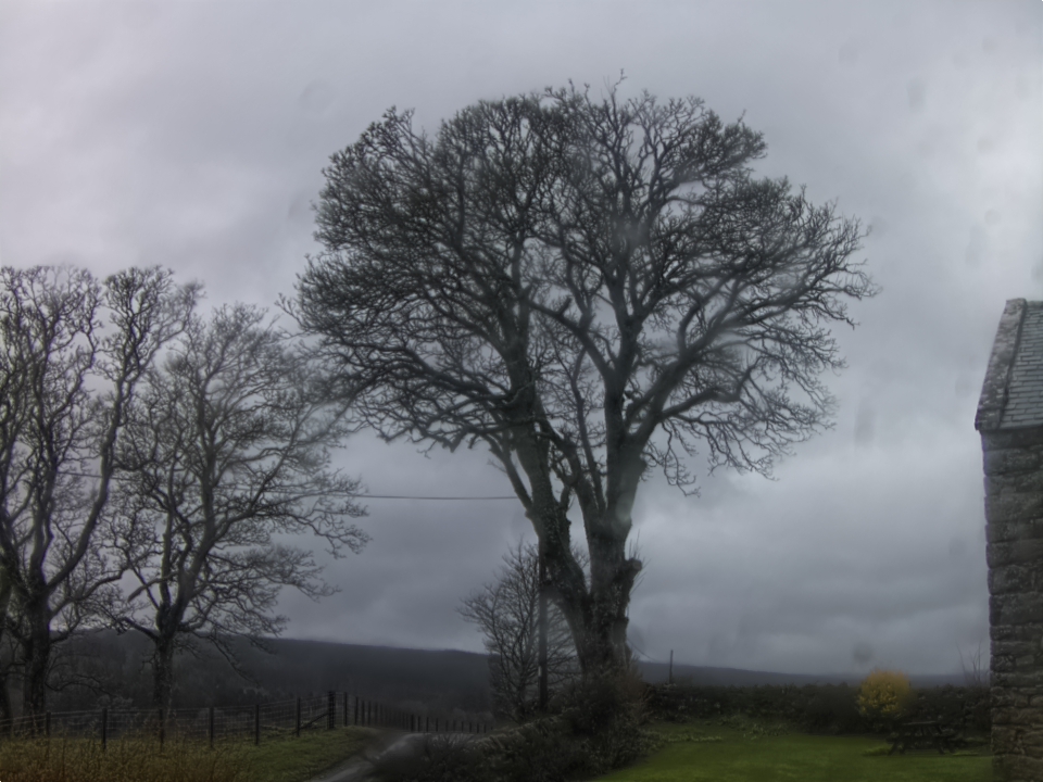 Webcam photo for 15 hrs today