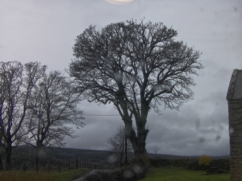 Webcam photo for 10 hrs today