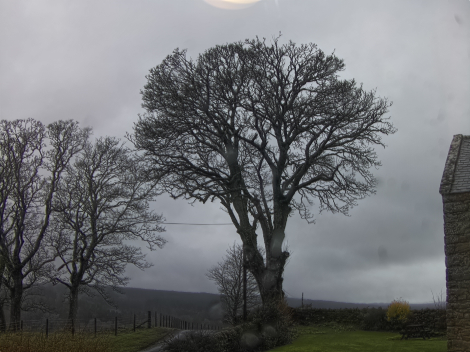 Webcam photo for 11 hrs today