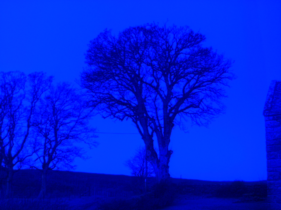 Webcam photo for 07 hrs today