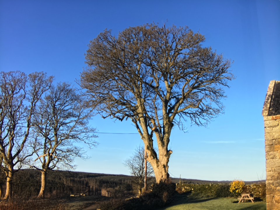 Webcam photo for 09 hrs today