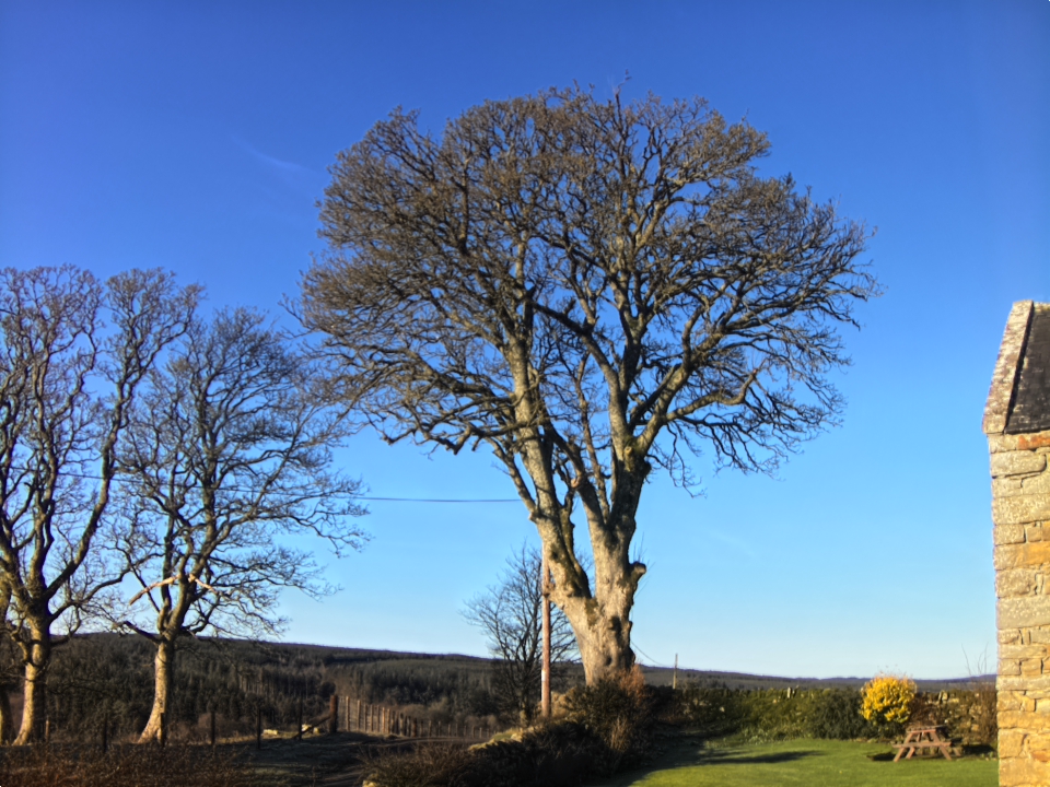 Webcam photo for 10 hrs today