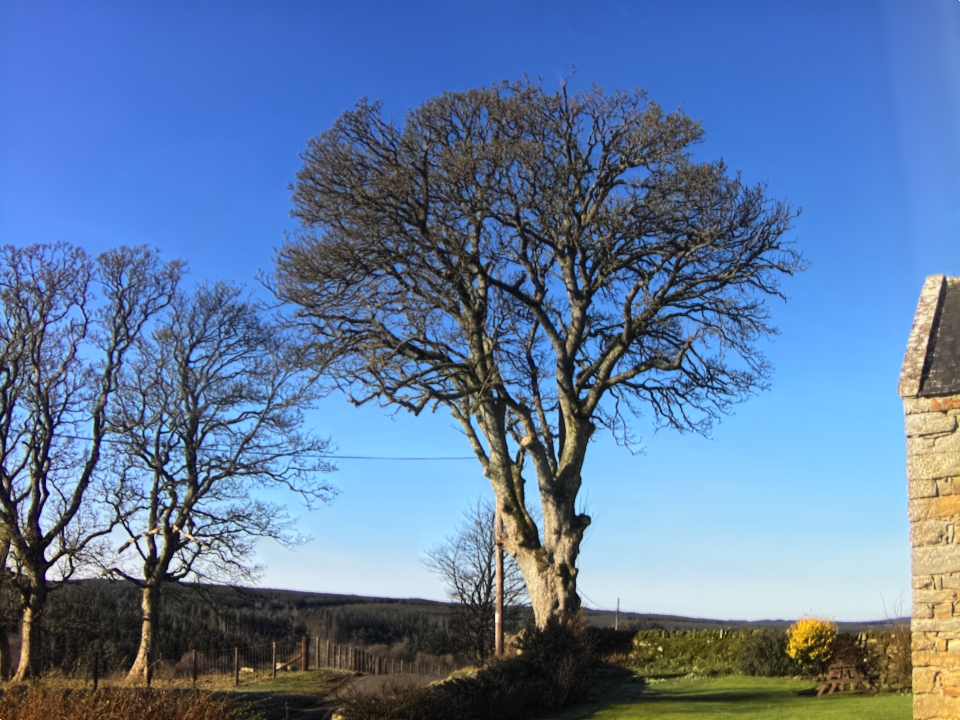 Webcam photo for 11 hrs today