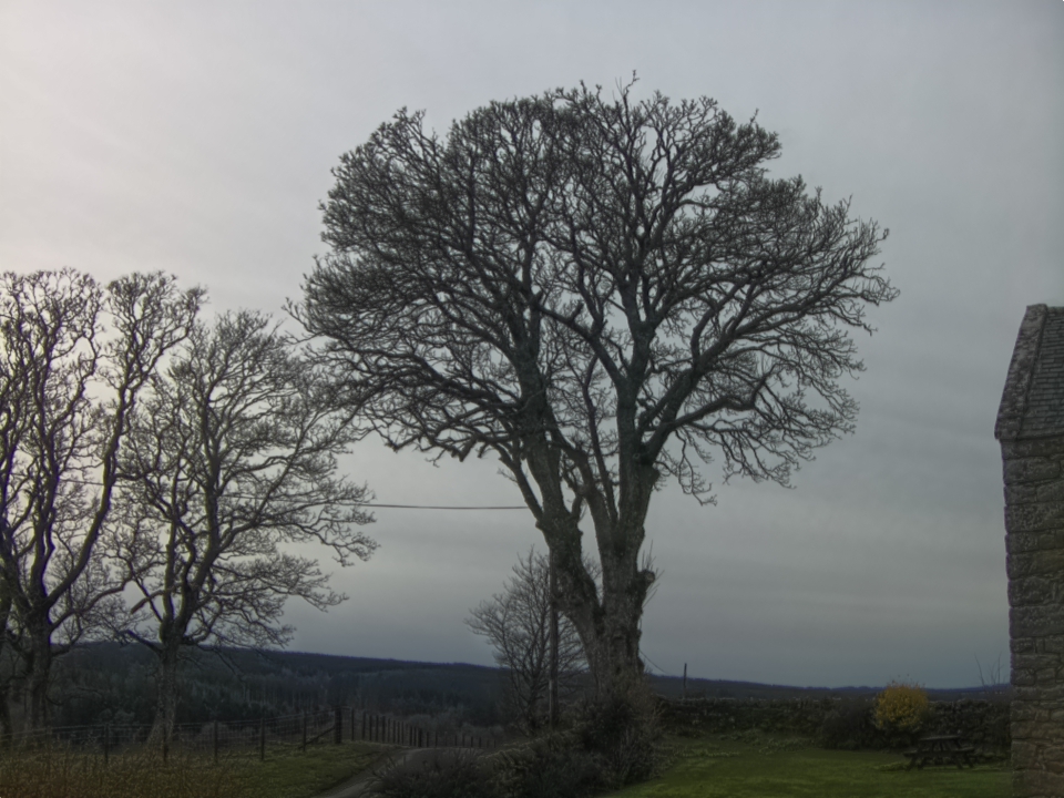 Webcam photo for 16 hrs today