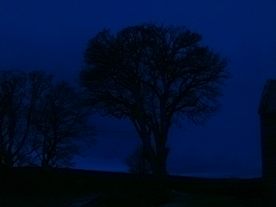 Webcam photo for 07 hrs today