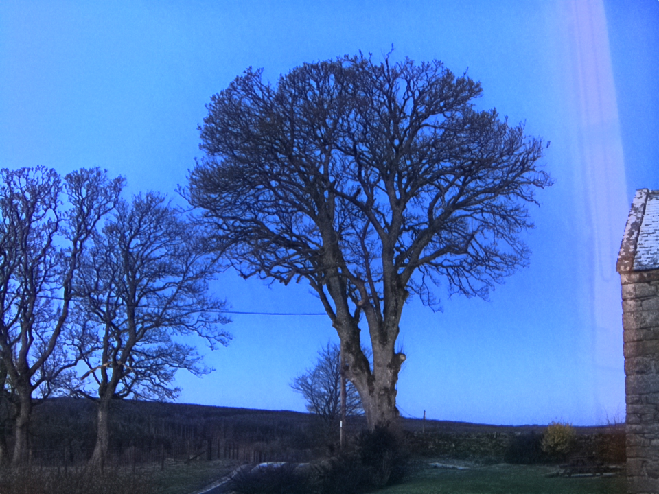 Webcam photo for 07 hrs today