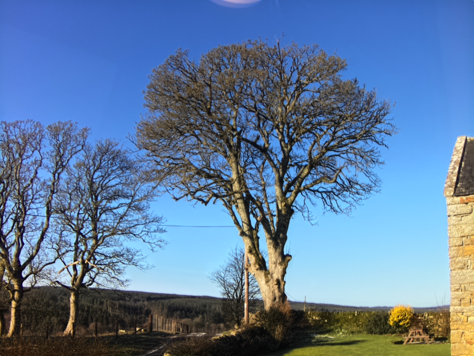 Webcam photo for 10 hrs today