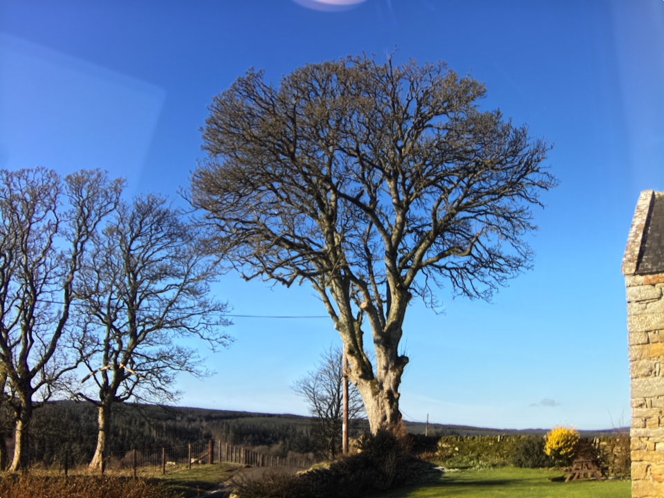 Webcam photo for 11 hrs today