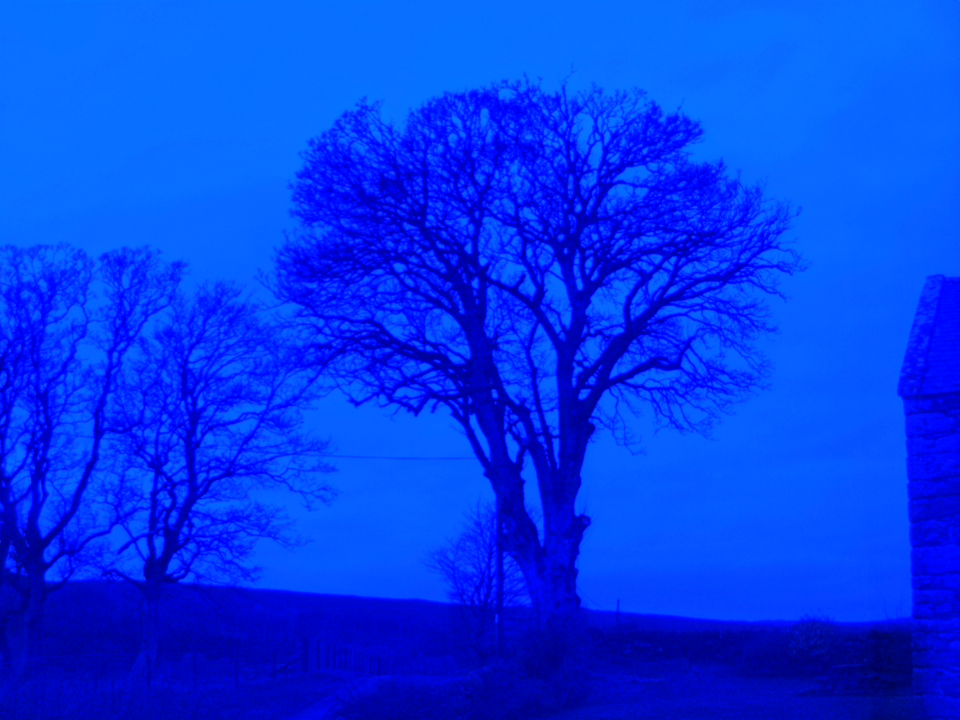 Webcam photo for 07 hrs today