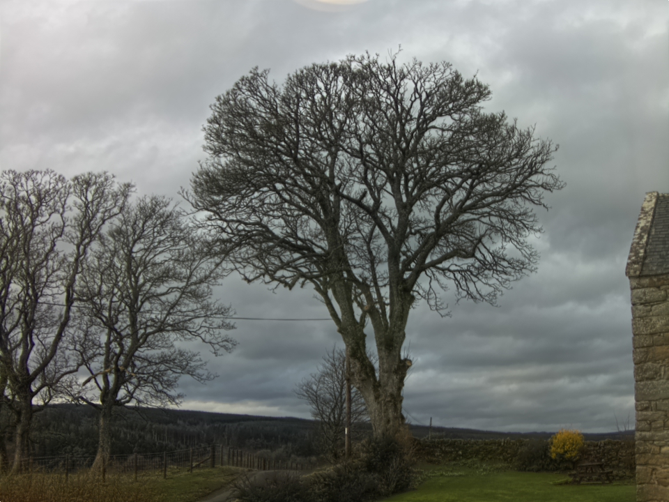 Webcam photo for 11 hrs today