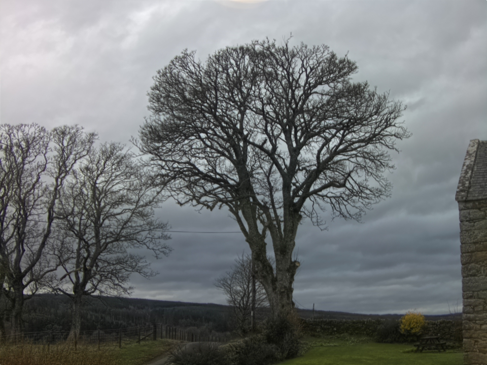 Webcam photo for 12 hrs today